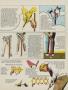 Page: - 119 | Golf Digest