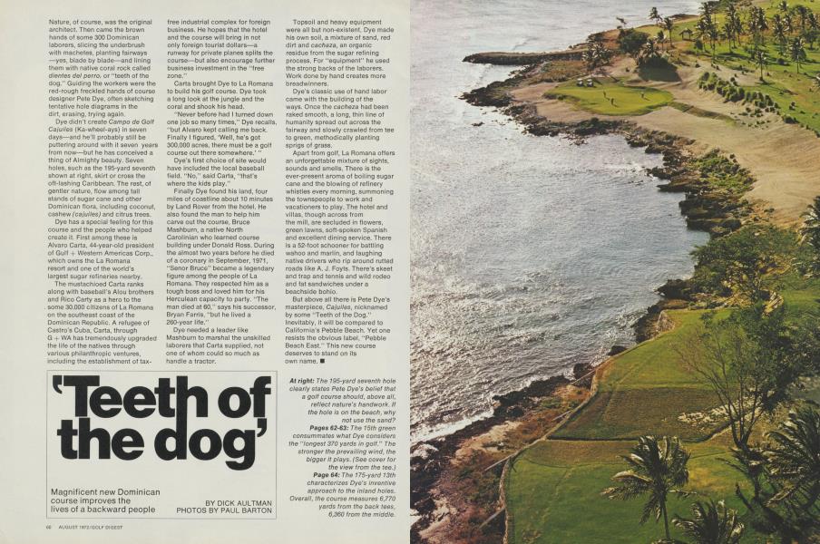 'Teeth of the dog'