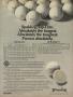 Page: - 19 | Golf Digest