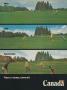 Page: - 12 | Golf Digest