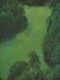 Page: - 60 | Golf Digest