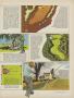 Page: - 57 | Golf Digest
