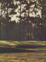Page: - 77 | Golf Digest