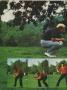 Page: - 36 | Golf Digest