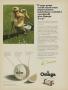 Page: - 8 | Golf Digest