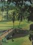 Page: - 135 | Golf Digest