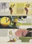 Page: - 95 | Golf Digest