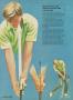 Page: - 37 | Golf Digest