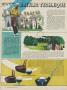 Page: - 82 | Golf Digest