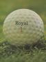 Page: - 20 | Golf Digest