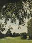 Page: - 43 | Golf Digest