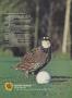 Page: - 121 | Golf Digest