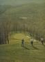 Page: - 127 | Golf Digest