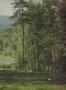 Page: - 129 | Golf Digest