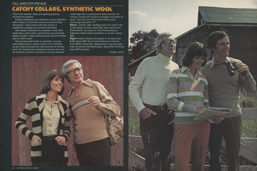 CATCHY COLLARS, SYNTHETIC WOOL