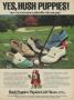 Page: - 27 | Golf Digest