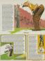 Page: - 59 | Golf Digest