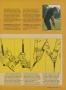 Page: - 39 | Golf Digest