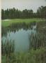 Page: - 63 | Golf Digest