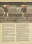 Page: - 92 | Golf Digest