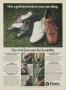 Page: - 27 | Golf Digest