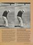 Page: - 55 | Golf Digest
