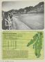 Page: - 56 | Golf Digest