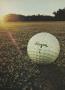 Page: - 18 | Golf Digest