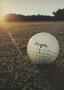 Page: - 28 | Golf Digest