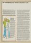 Page: - 48 | Golf Digest