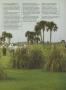 Page: - 75 | Golf Digest
