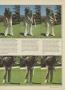 Page: - 75 | Golf Digest