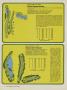 Page: - 78 | Golf Digest