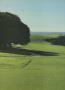 Page: - 156 | Golf Digest