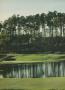 Page: - 176 | Golf Digest