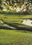 Page: - 46 | Golf Digest