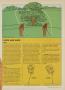Page: - 37 | Golf Digest