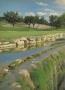 Page: - 42 | Golf Digest