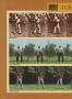Page: - 41 | Golf Digest