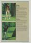 Page: - 43 | Golf Digest