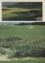 Page: - 67 | Golf Digest