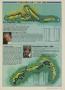 Page: - 211 | Golf Digest