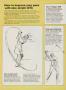 Page: - 56 | Golf Digest
