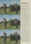 Page: - 86 | Golf Digest