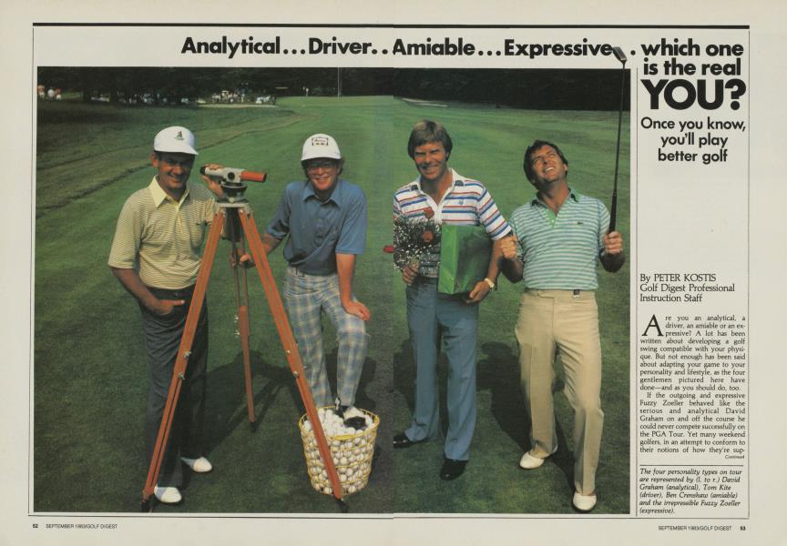 Analytical... Driver... Amiable...Expressive...which one is the real YOU?