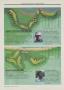 Page: - 258 | Golf Digest