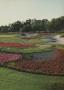Page: - 53 | Golf Digest