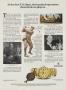 Page: - 19 | Golf Digest