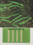 Page: - 93 | Golf Digest
