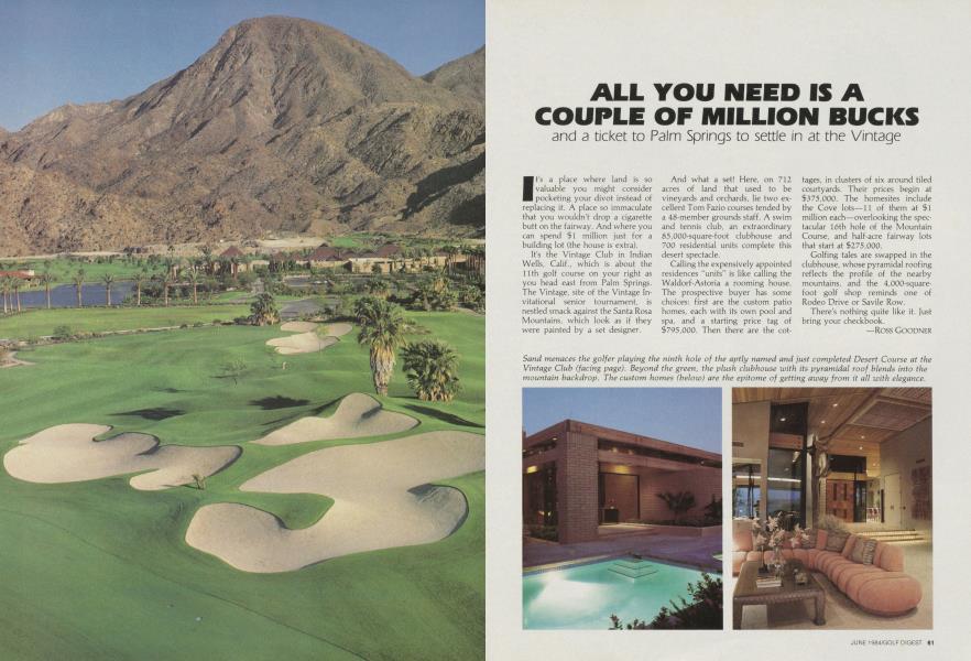 ALL YOU NEED IS A COUPLE OF MILLION BUCKS
